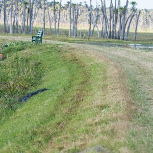 Wetlands Feb2016-1500px-26.jpg