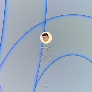 Screen Shot 2022-02-07 at 10.55.28 AM.png