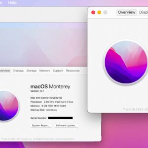 Screen Shot 2022-02-08 at 2.40.23 PM.png