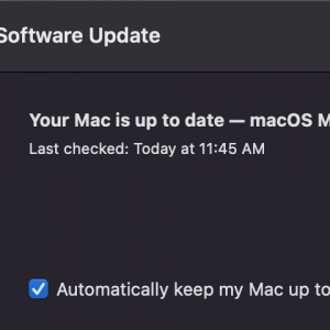 Screen Shot 2022-02-12 at 11.45.49 AM.png