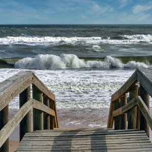 Flagler 2 1500px.jpg