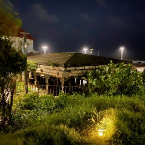 IMG_4748.jpg