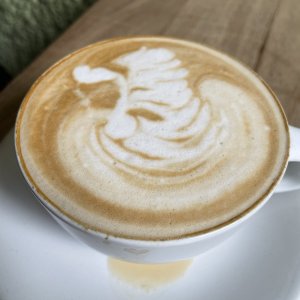 IMG_2137.jpeg