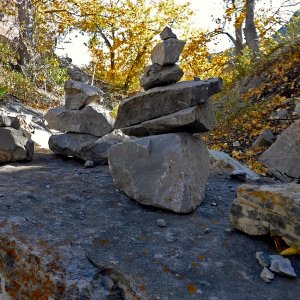 21F_561.jpg