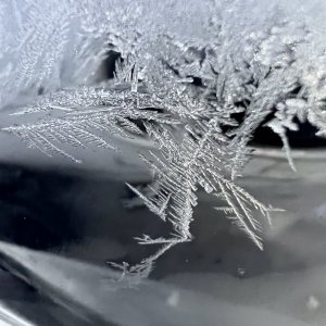 4F78816F-C397-41EF-86E2-F655F626A9D5.jpeg