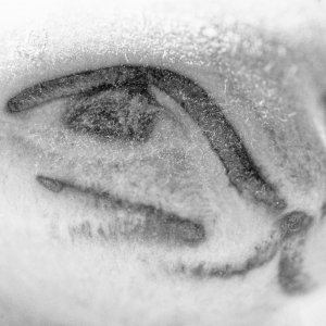 White as Snow.jpeg
