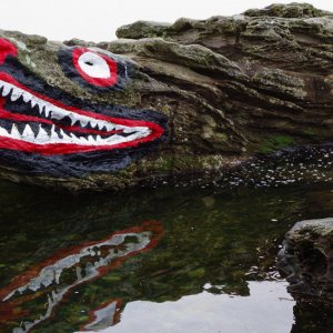 CrocodileRock-00749.jpg