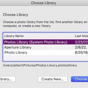 Screen Shot 2022-03-09 at 12.02.14 PM.jpg