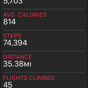 steps.PNG