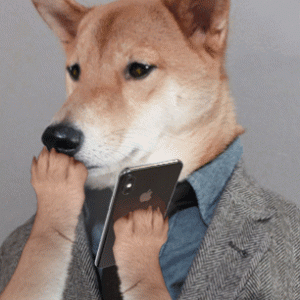 Literal Watchdog Blinking.gif
