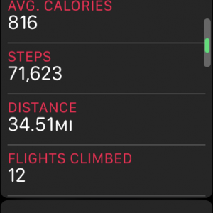 steps.PNG