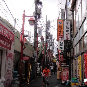 DSC08113.jpg