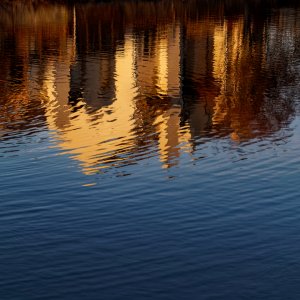 Golden Glow in the Blue Hour.jpeg