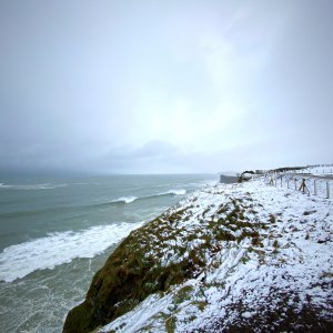IMG_0003.jpg