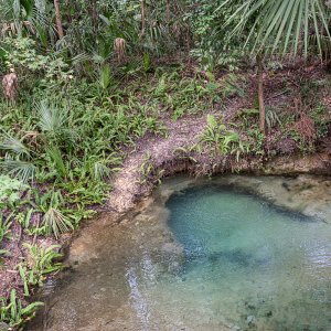 Gemini Springs-1500px-5.JPG