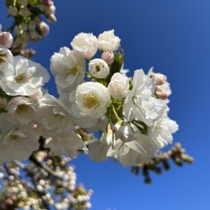 0142CF10-E4C3-4017-9BA5-E98C1BB4822E.jpeg