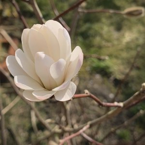5710660D-99CC-46EE-BC49-6FC0208DA3D9.jpeg