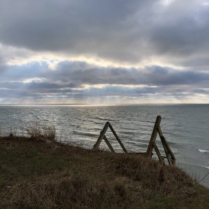D92ECE4C-BCF0-4DFD-9CC5-4C47CDBF8358.jpeg