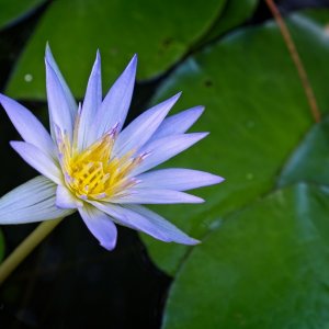 55337E66-1FAE-48B3-AF86-487166BFA2E1.jpeg