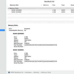 Screen Shot 2022-03-26 at 9.06.59 AM.png