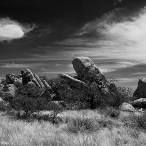 _7000986 - Version 2.jpg