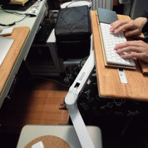 media6.gif