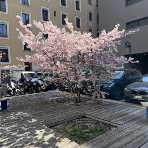 IMG_6238.jpeg