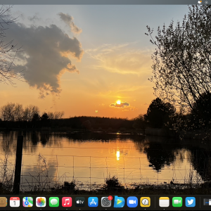 Screenshot 2022-04-01 at 20.50.55.png