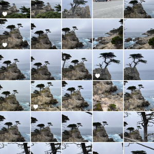 A6C6B364-5D02-45D4-AD87-88BE9EF7657E.png