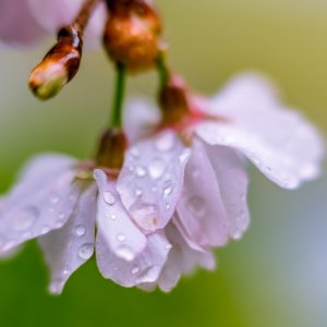 578A83CD-8096-40EE-A814-2C504162C5F8.jpeg