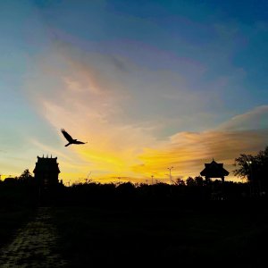 IMG_5633.jpg