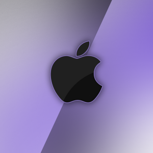 Two-Tone Silver Purple.png