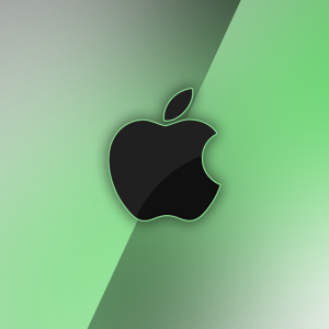 Two-Tone Silver Green.png