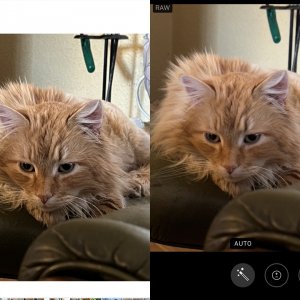 IMG_5983.JPEG