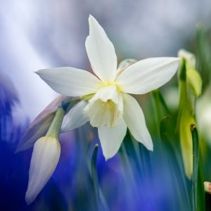 0304D514-089F-4F8F-8D23-C41D4FFBEAD2.jpeg