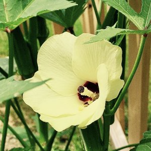 IMG_3921.jpg
