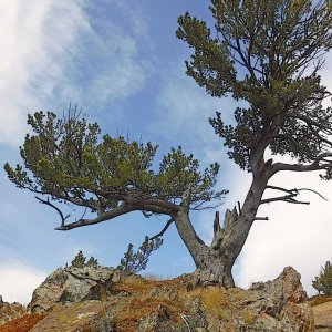 22F_177.jpg