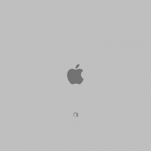 ecran demarrage OS X.png