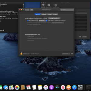 Screen Shot 2019-06-06 at 3.46.06 PM.png