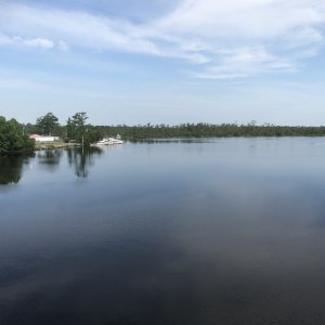 IMG_5382.jpeg