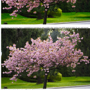 Screen Shot 2022-04-25 at 10.00.30 PM.png