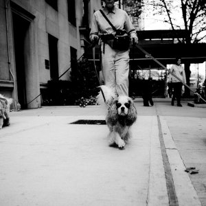 NYC-15.jpg