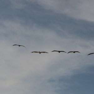 Launch 2000px-4.jpg