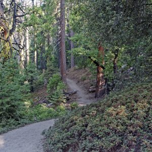 Mariposa trail 2k.jpg