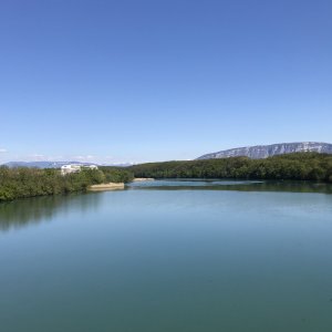 IMG_4568.jpeg