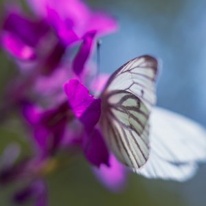 7CE8074D-48FF-4779-B819-23CE3970A8D5.jpeg