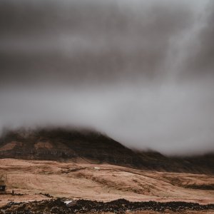 annie-spratt-gkDcKlVe9o4-unsplash (1).jpg