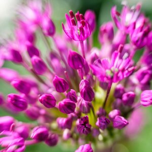 19BC504D-7884-429A-86A8-3F55AE243720.jpeg