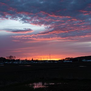 DSC04863.jpg