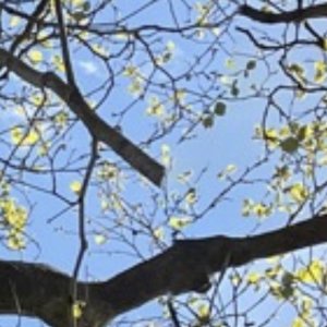 IMG_1866.jpeg